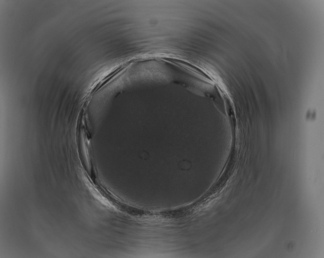 X0000090760389200708031635