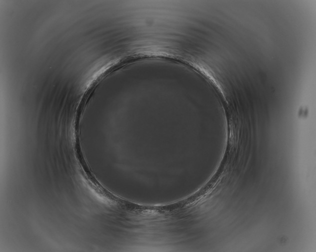 X0000090760390200708031635