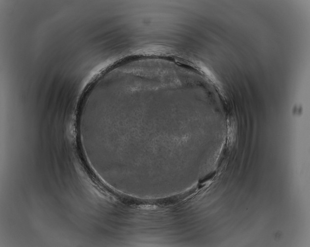 X0000090760392200708031635