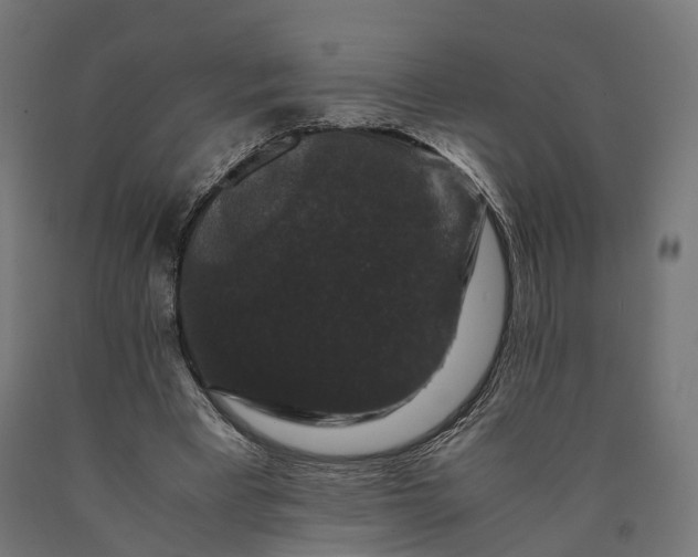 X0000090760393200708031635