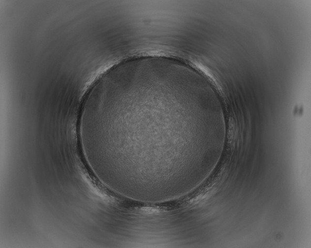 X0000090760394200708031635