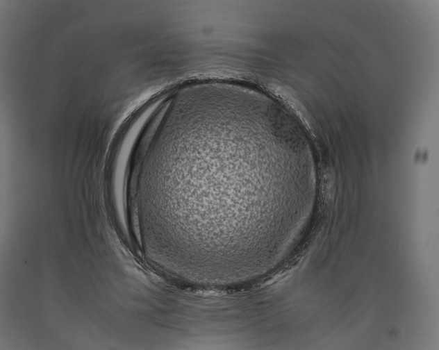 X0000090760395200708031635