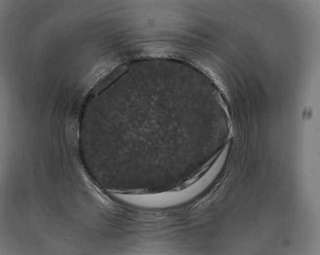 X0000090760397200708031635