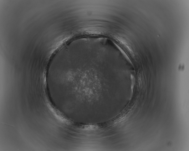 X0000090760398200708031635