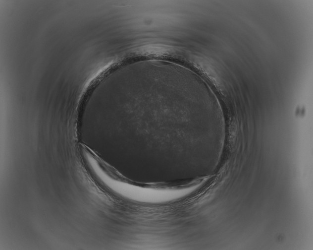 X0000090760399200708031635