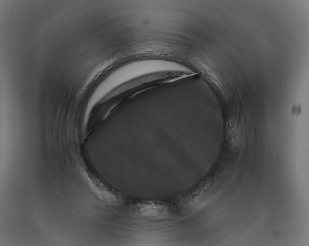 X0000090760400200708031635