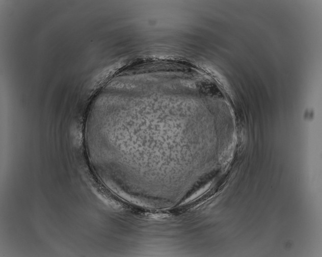 X0000090760401200708031635