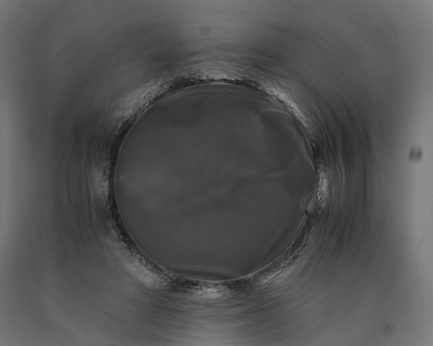 X0000090760402200708031635