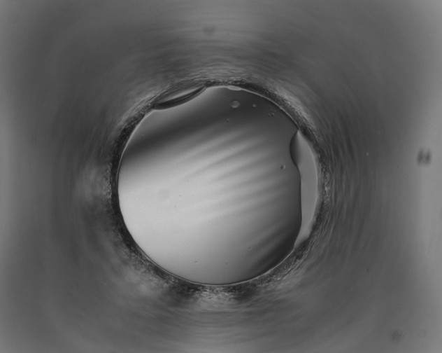 X0000090760403200708031635