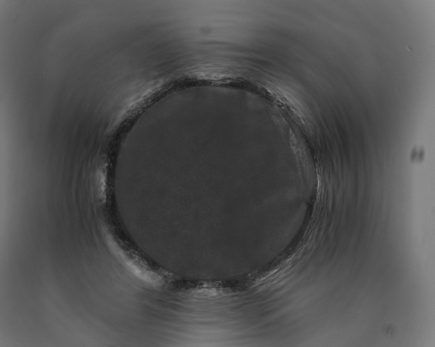 X0000090760404200708031635