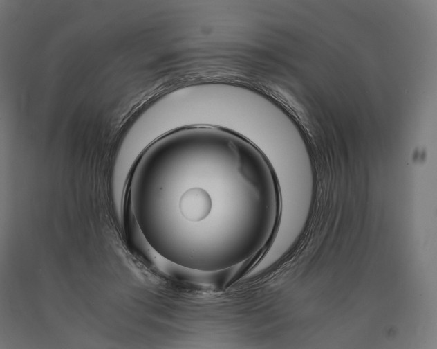 X0000090760405200708031635