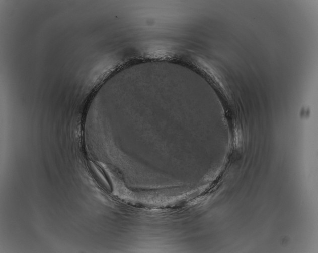 X0000090760407200708031635