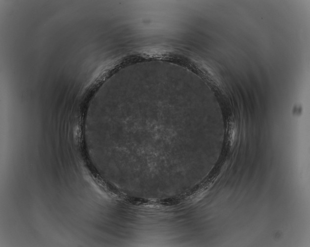 X0000090760408200708031635