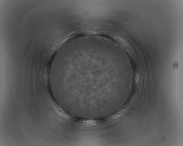 X0000090760409200708031635