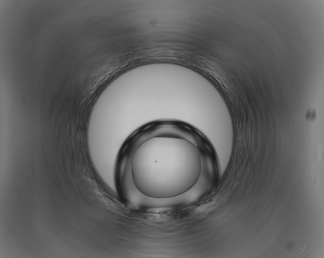 X0000090760411200708031635