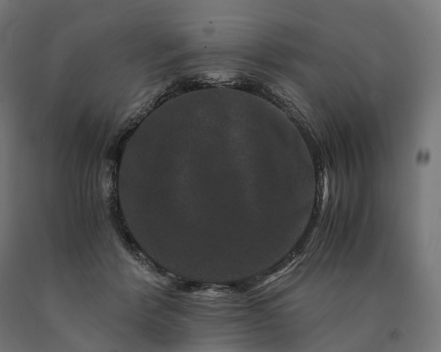 X0000090760412200708031635