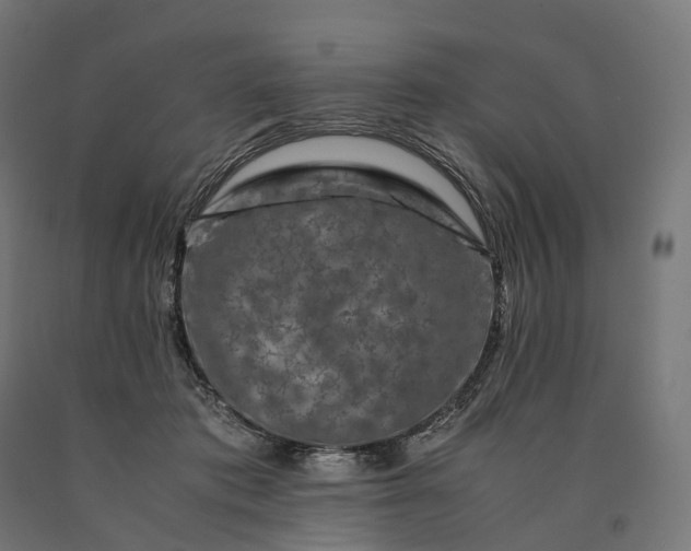 X0000090760413200708031635