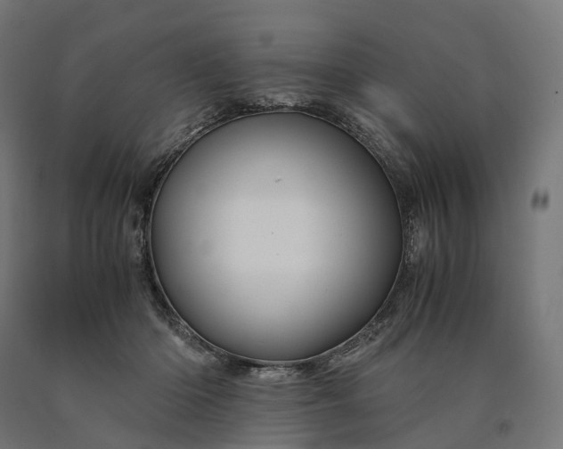 X0000090760414200708031634