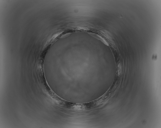 X0000090760415200708031634