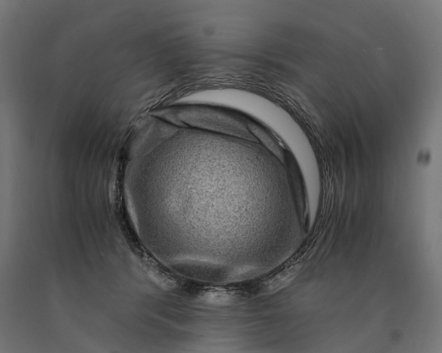 X0000090760416200708031634