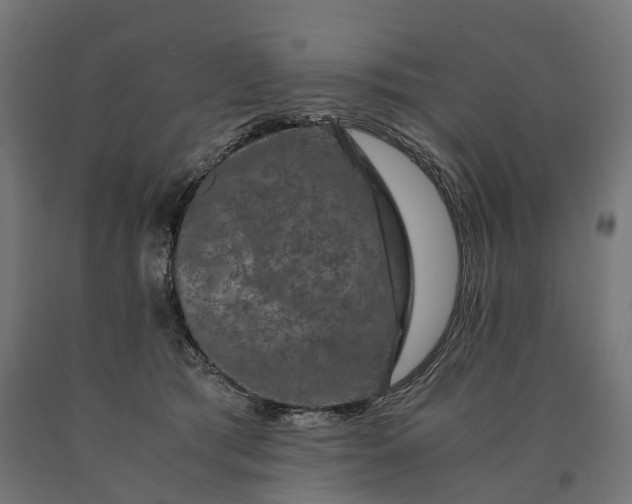 X0000090760417200708031634