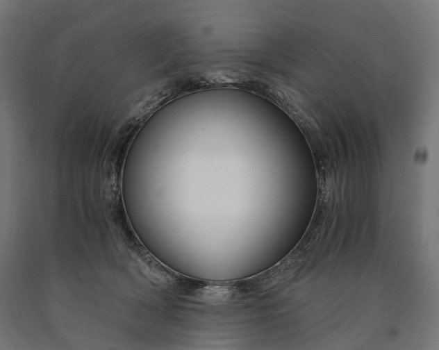 X0000090760418200708031634