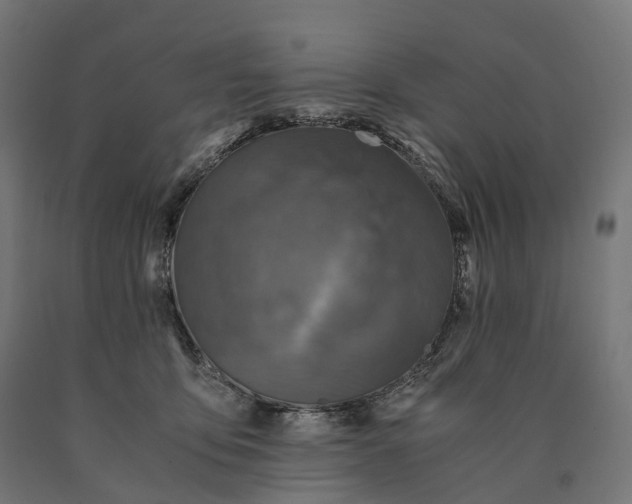 X0000090760419200708031634