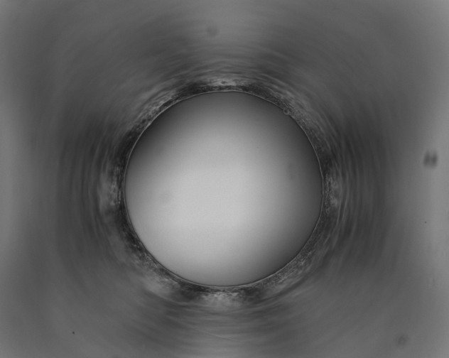 X0000090760422200708031634