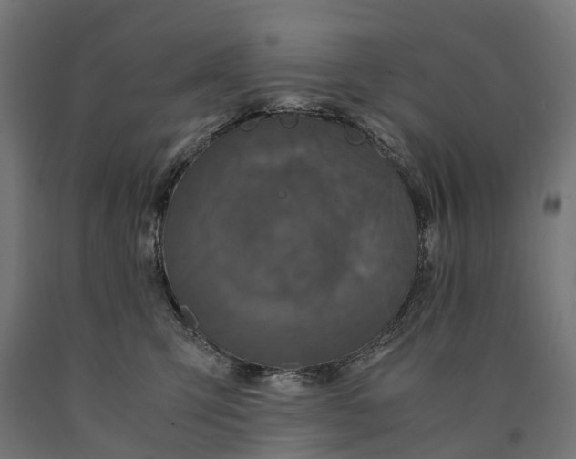 X0000090760423200708031634