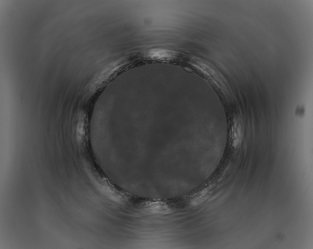 X0000090760424200708031634