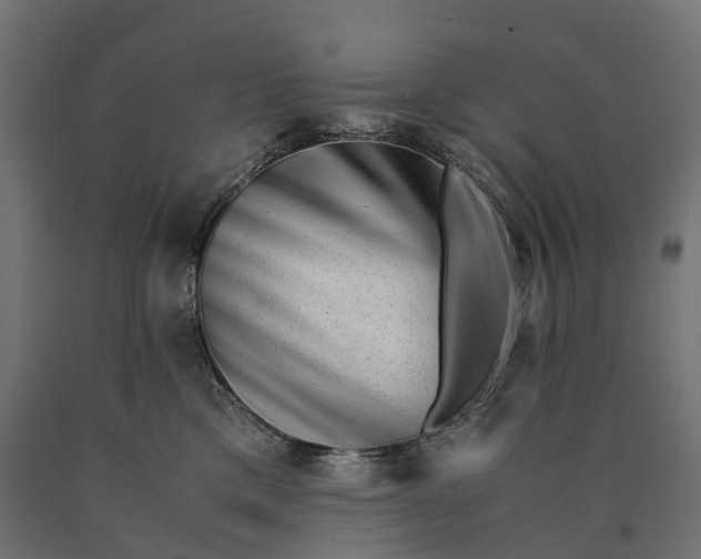 X0000090760425200708031634