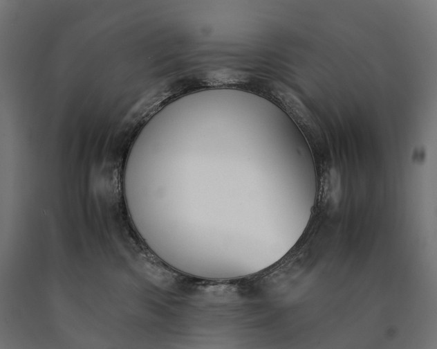 X0000090760426200708031634