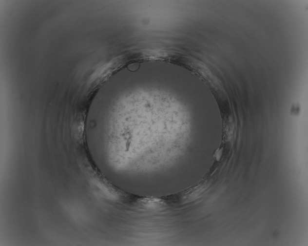 X0000090760427200708031634