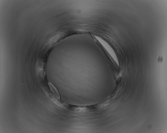 X0000090760428200708031634