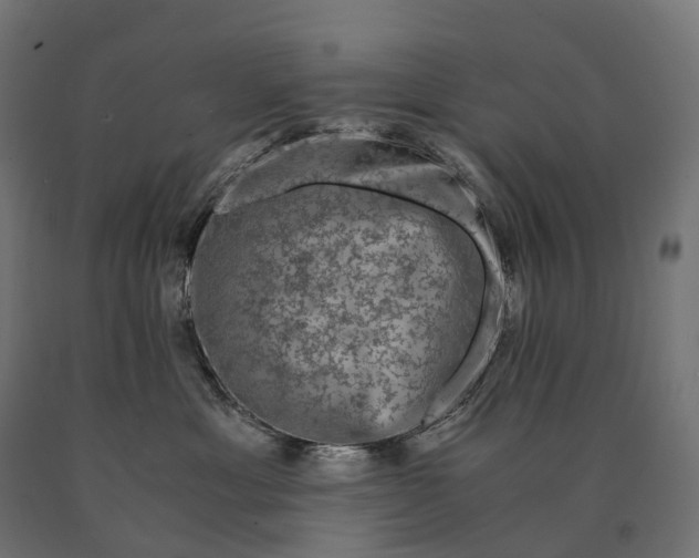 X0000090760429200708031634