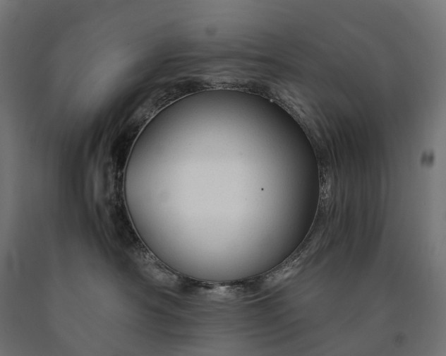 X0000090760430200708031634