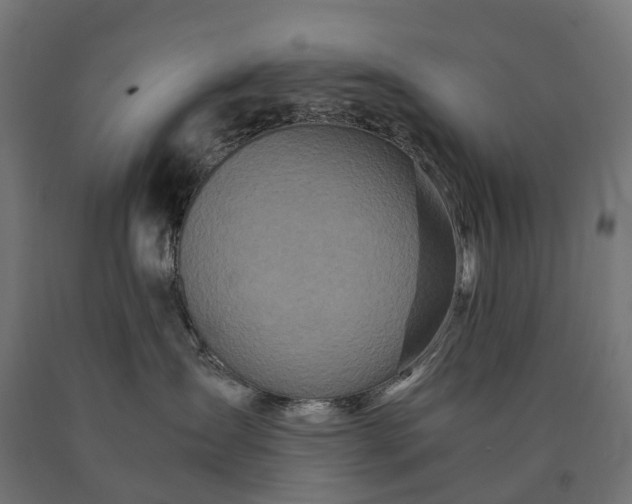 X0000090760431200708031634