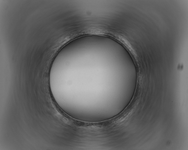 X0000090760433200708031633