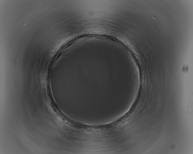 X0000090760434200708031633