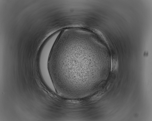 X0000090760435200708031633