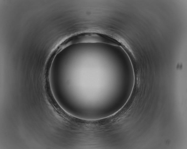 X0000090760436200708031633