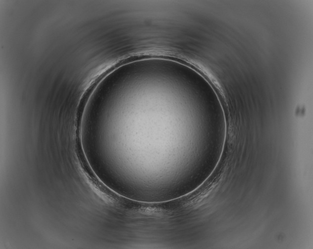 X0000090760437200708031633