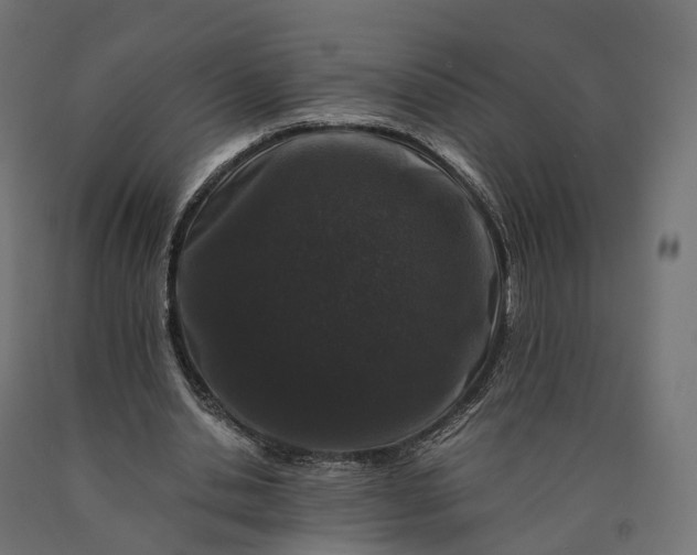 X0000090760438200708031633