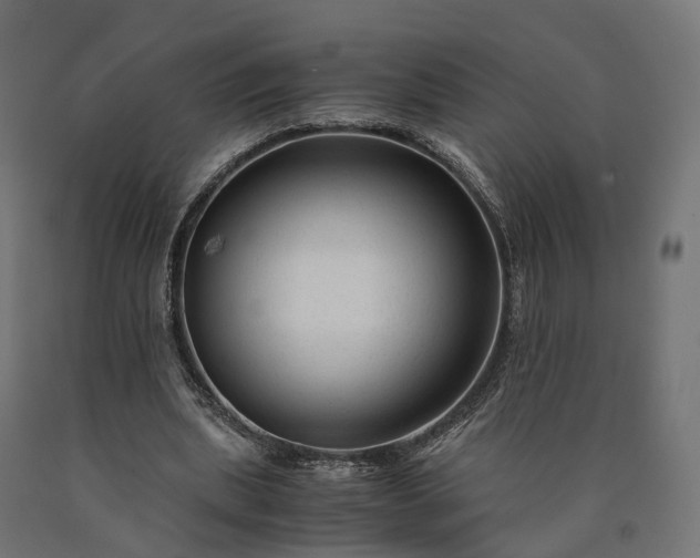 X0000090760439200708031633