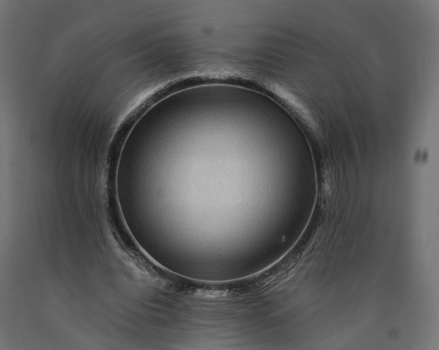 X0000090760440200708031633