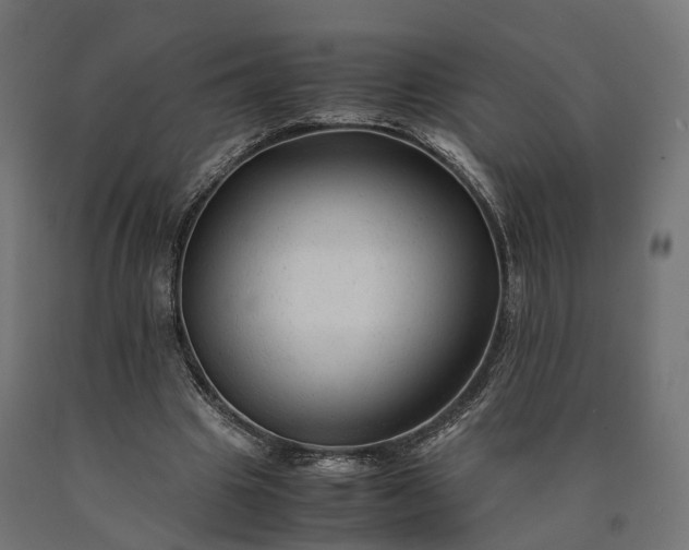 X0000090760441200708031634