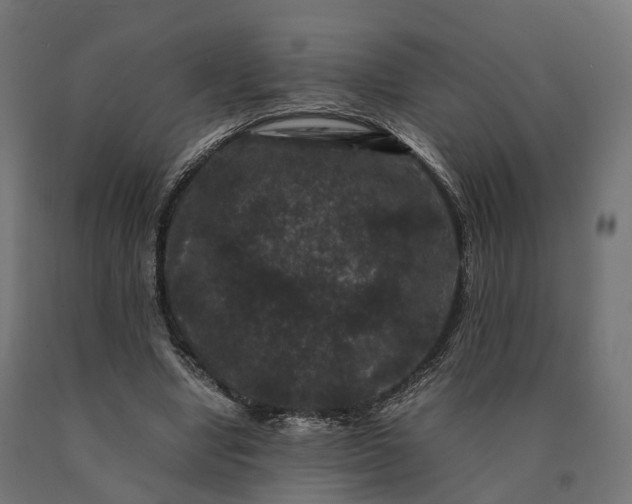 X0000090760442200708031634