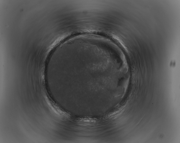 X0000090760443200708031634