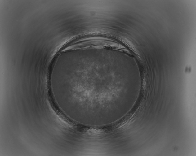 X0000090760444200708031634