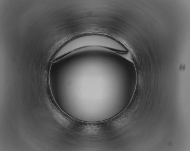 X0000090760445200708031634